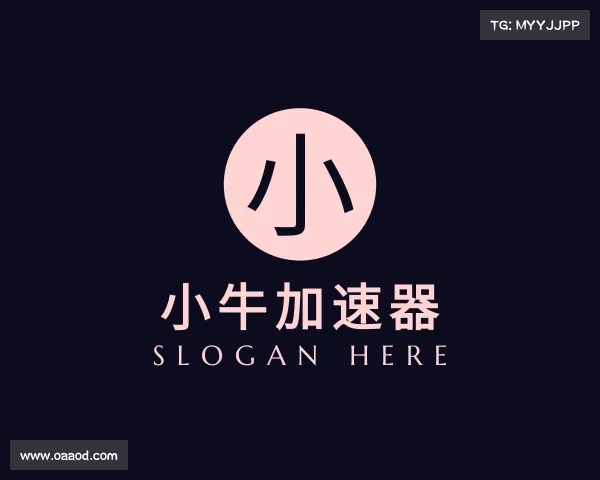 认识小牛加速器